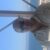 Profile picture of Jordan Kramp
